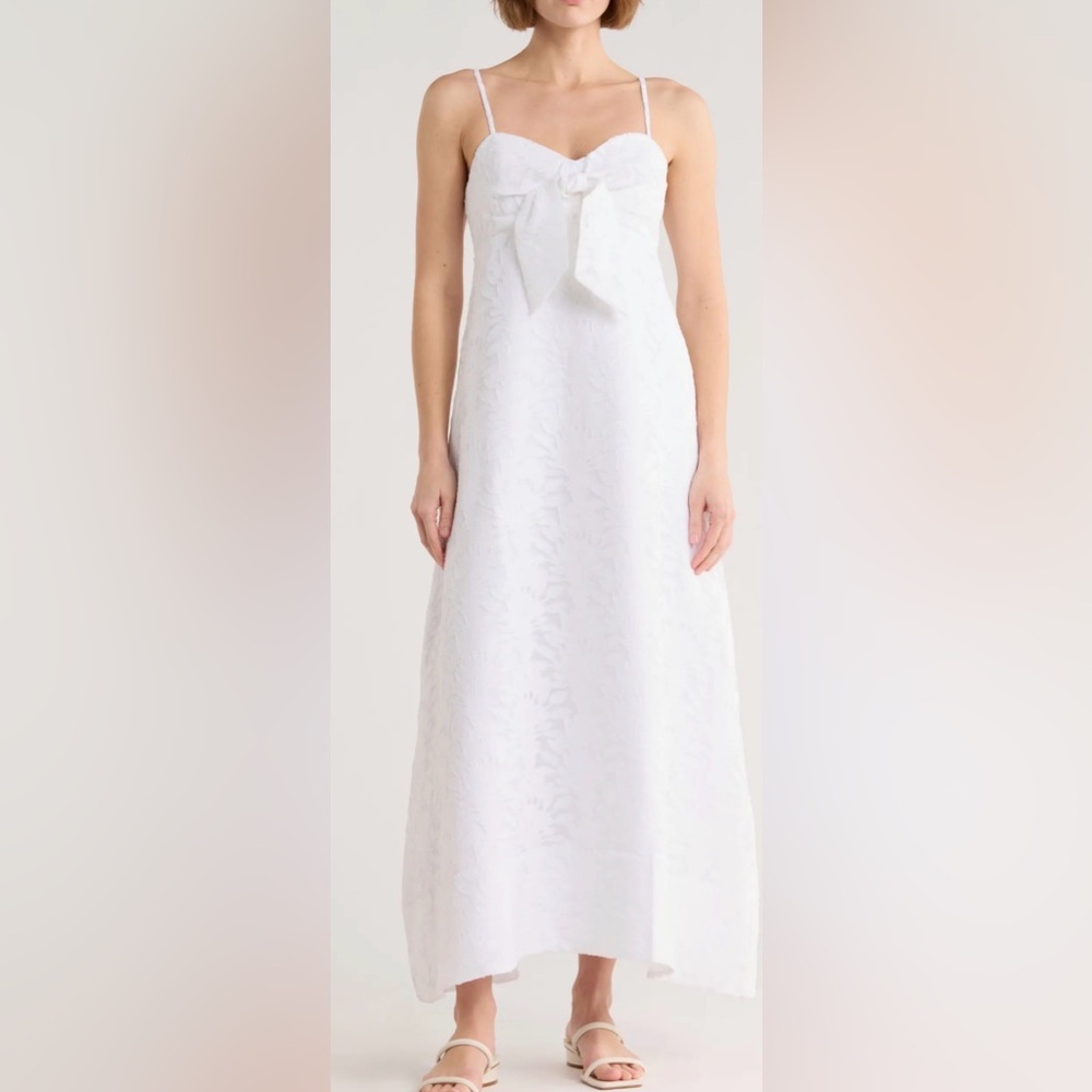 Lilly Pulitzer Maxi Dress size 2